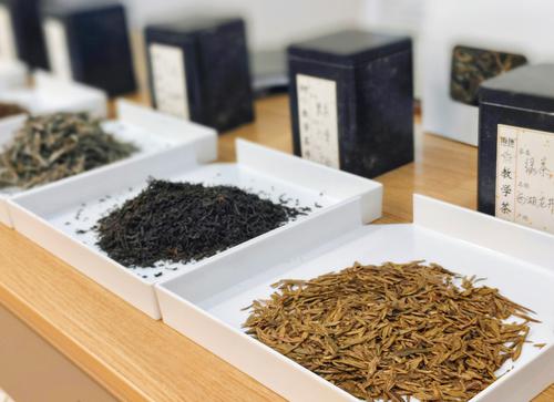 芳華悅己，修身養性