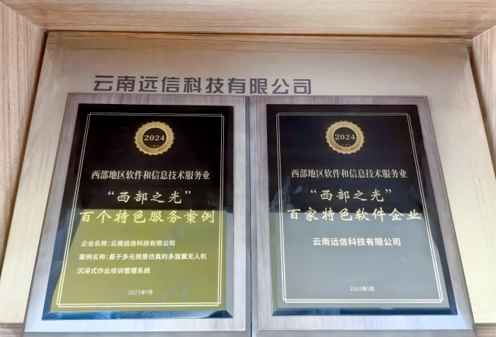 喜報！我司榮獲“西部之光”特色軟件企業、特色服務案例稱號